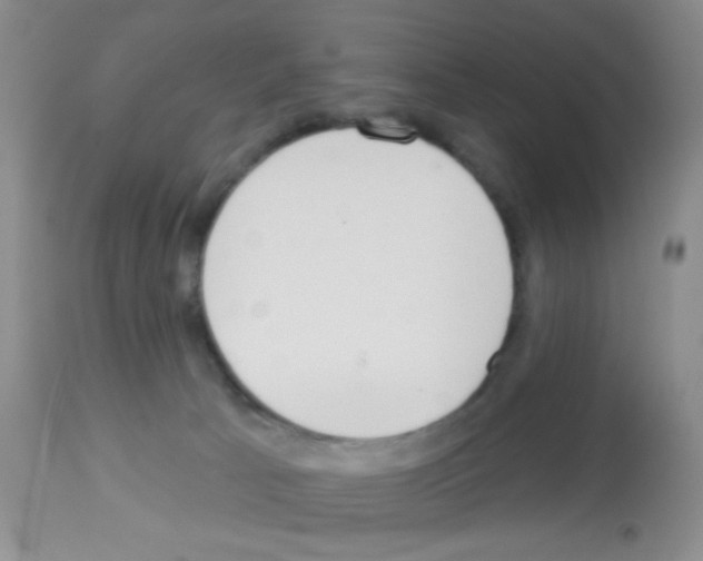 X0000113080033200910091243