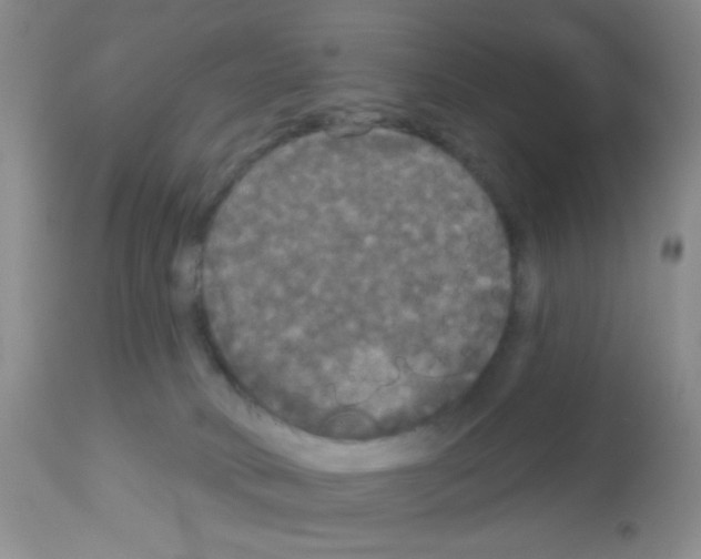 X0000113080034200910091243