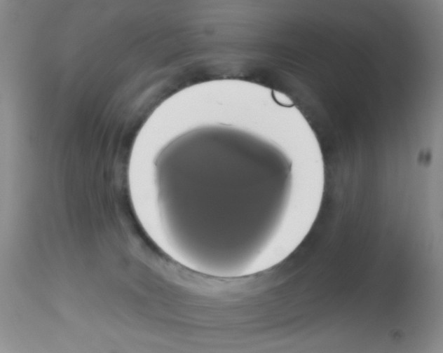 X0000113080035200910091243