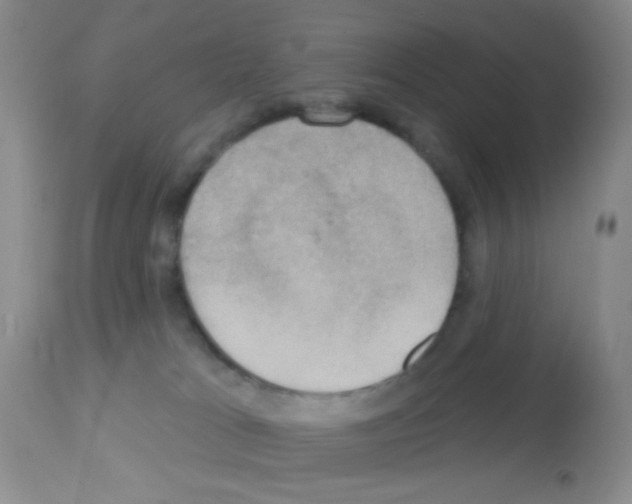 X0000113080037200910091243
