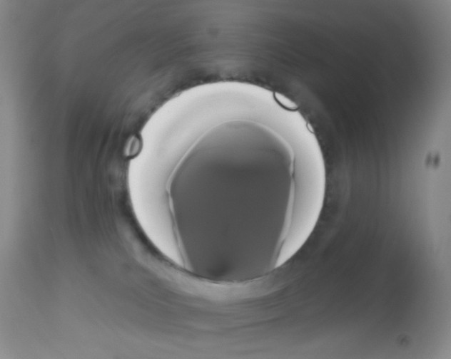 X0000113080039200910091243