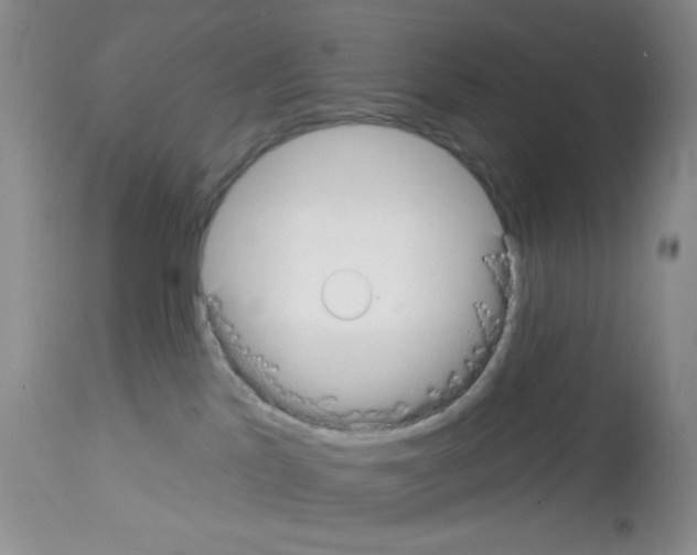 X0000113080041200910091243