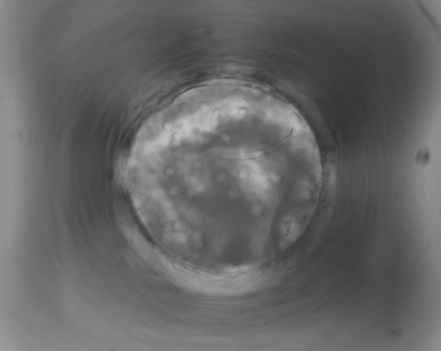 X0000113080042200910091243