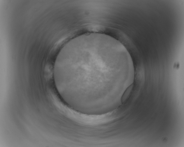 X0000113080043200910091243