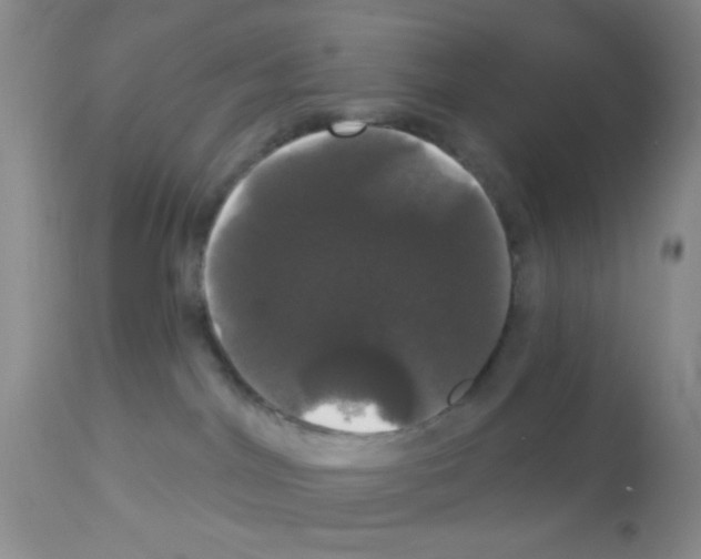 X0000113080044200910091243