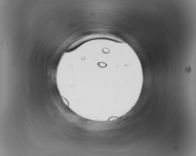X0000113080045200910091243
