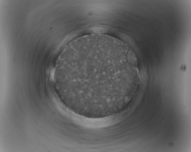 X0000113080046200910091243