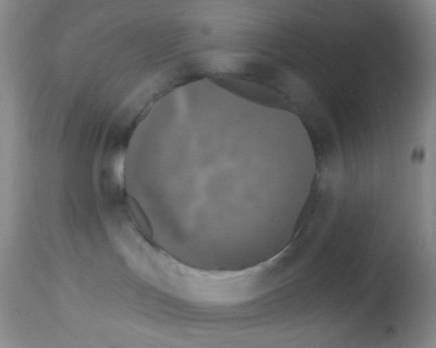 X0000113080047200910091243