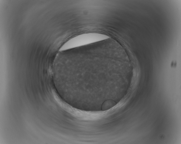 X0000113080048200910091243