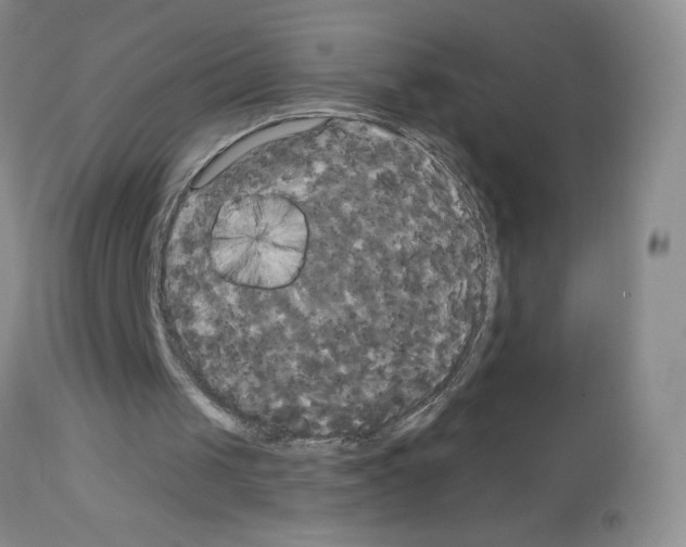 X0000113080049200910091242