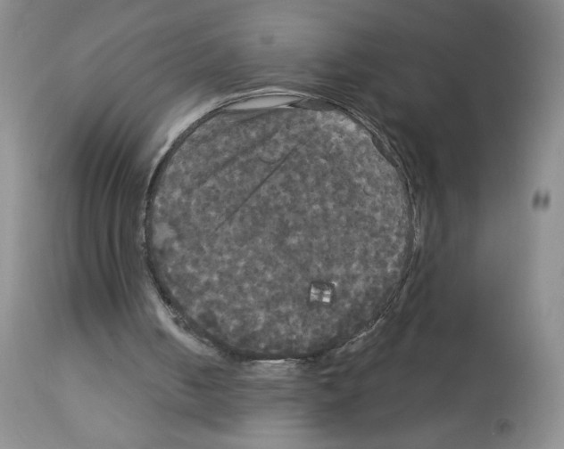 X0000113080050200910091242