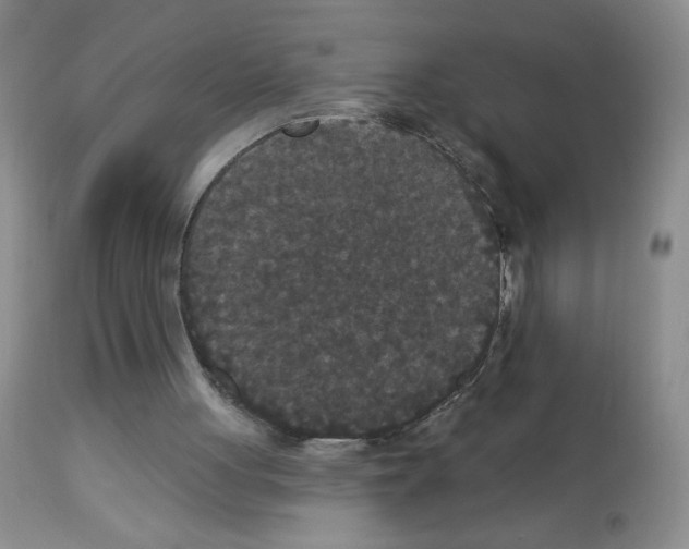 X0000113080051200910091242