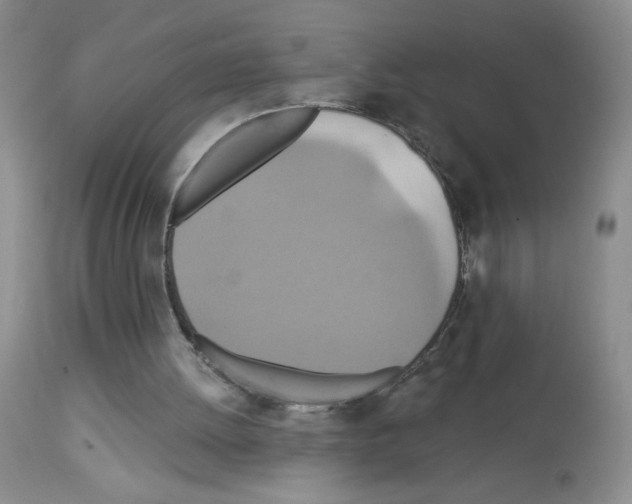 X0000113080052200910091242