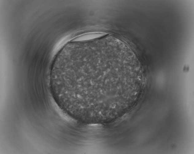 X0000113080053200910091242