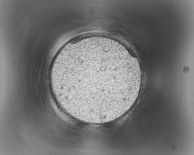 X0000113080055200910091242