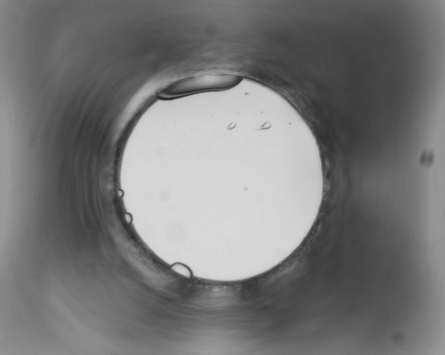X0000113080056200910091242
