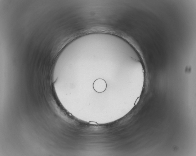 X0000113080057200910091242