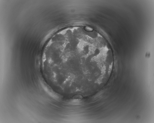 X0000113080059200910091242