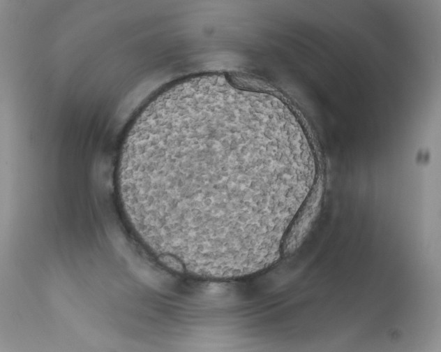 X0000113080060200910091242