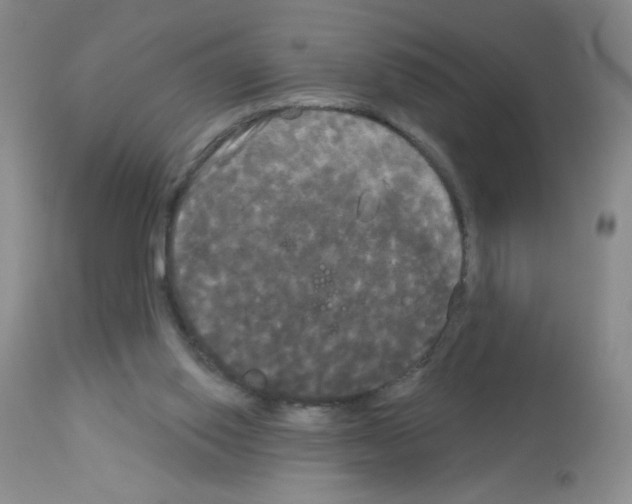 X0000113080062200910091242