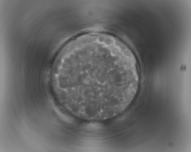 X0000113080063200910091242