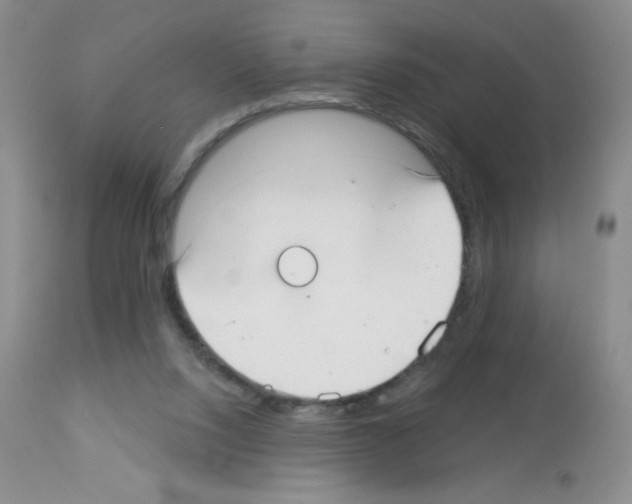 X0000113080064200910091242