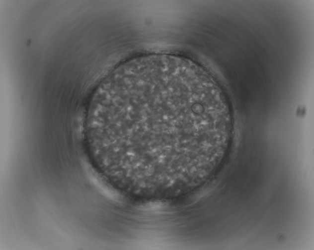 X0000113080065200910091242