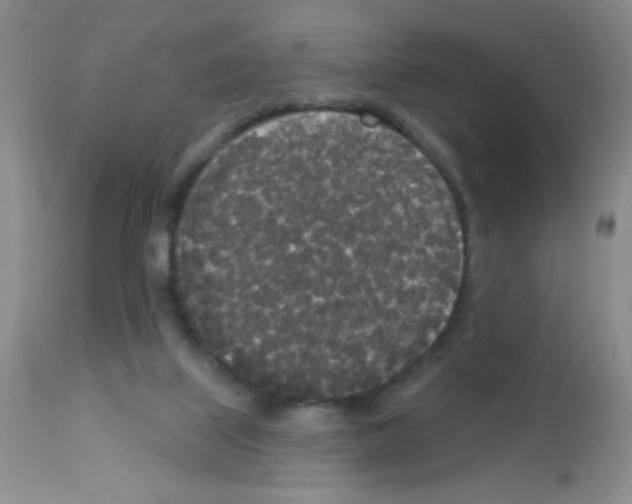 X0000113080067200910091242