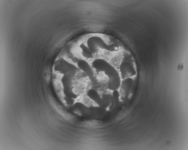 X0000113080069200910091242