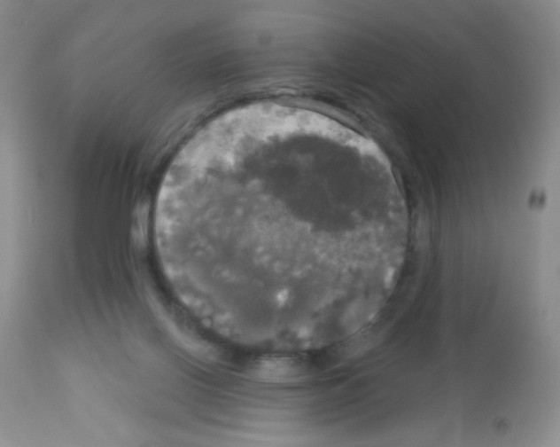 X0000113080070200910091242