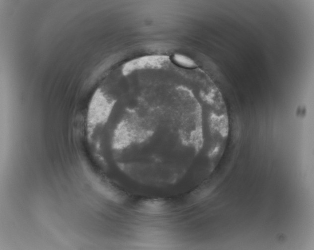 X0000113080071200910091242