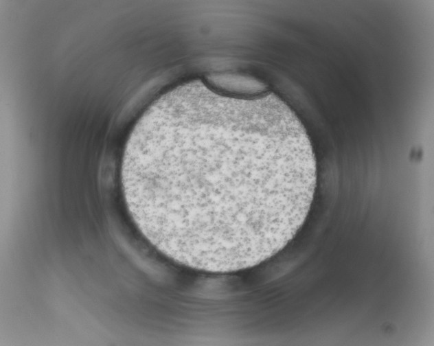 X0000113080072200910091242