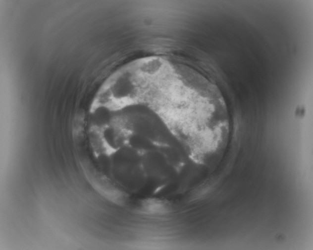 X0000113080073200910091242