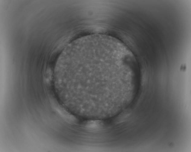 X0000113080077200910091242