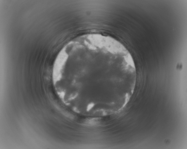 X0000113080078200910091242