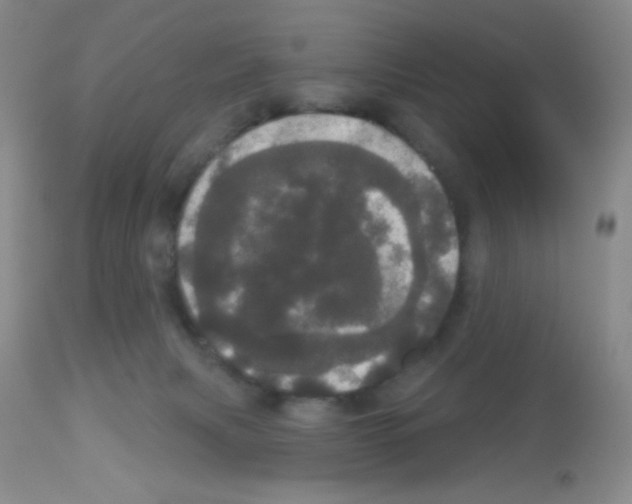 X0000113080079200910091242