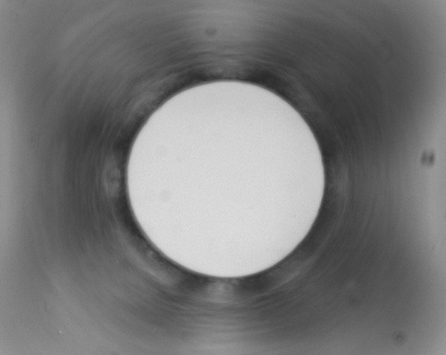 X0000113080080200910091242