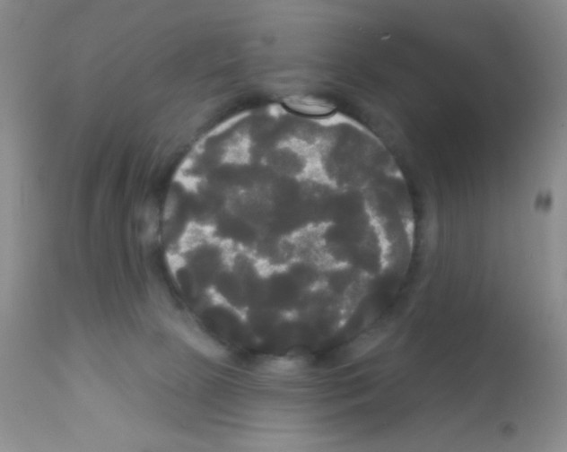 X0000113080081200910091242