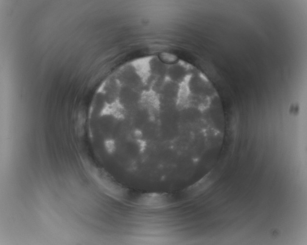 X0000113080082200910091243
