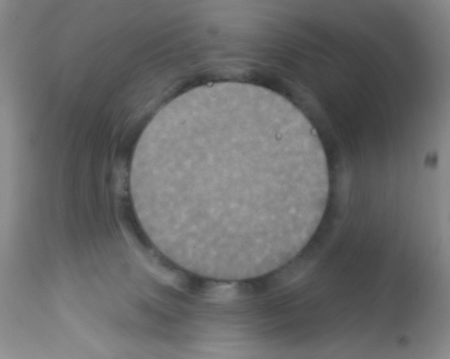 X0000113080083200910091243