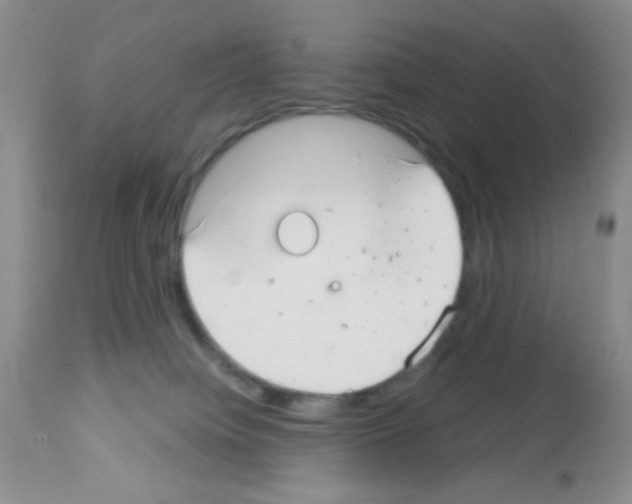 X0000113080084200910091243