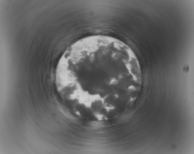 X0000113080085200910091243