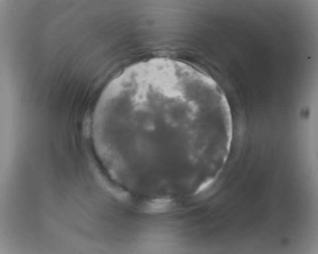 X0000113080090200910091243