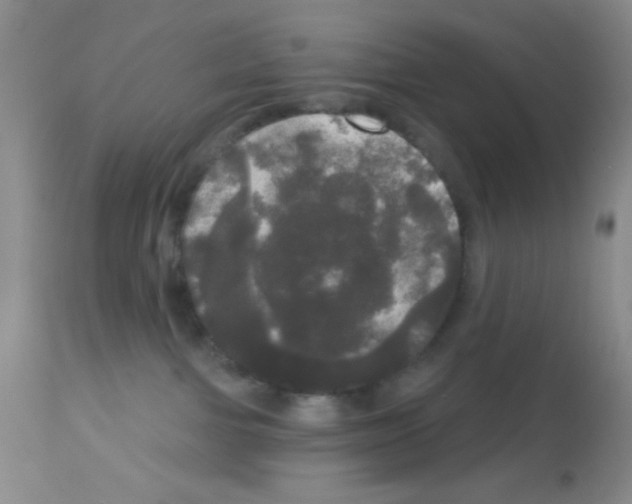 X0000113080091200910091243