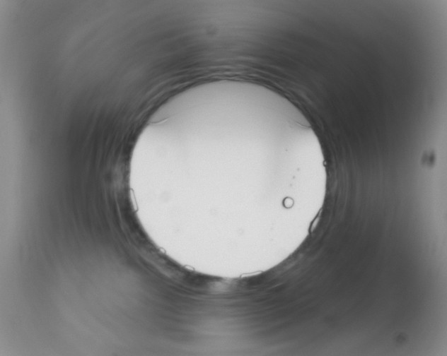 X0000113080092200910091243