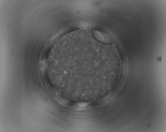 X0000113080093200910091243