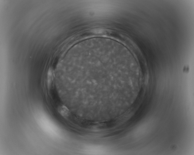 X0000113080095200910091243