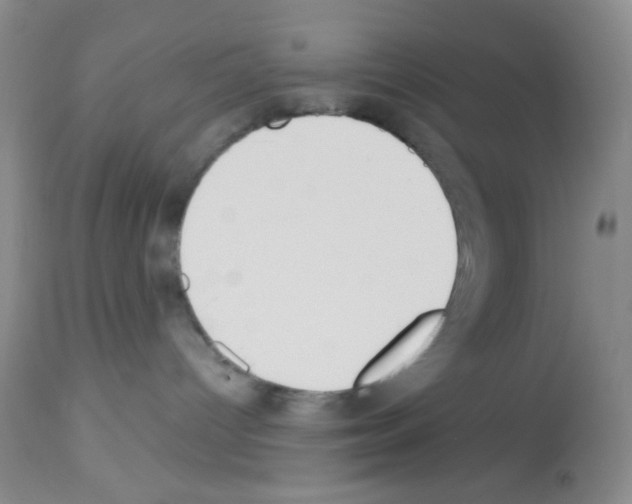 X0000113080096200910091243