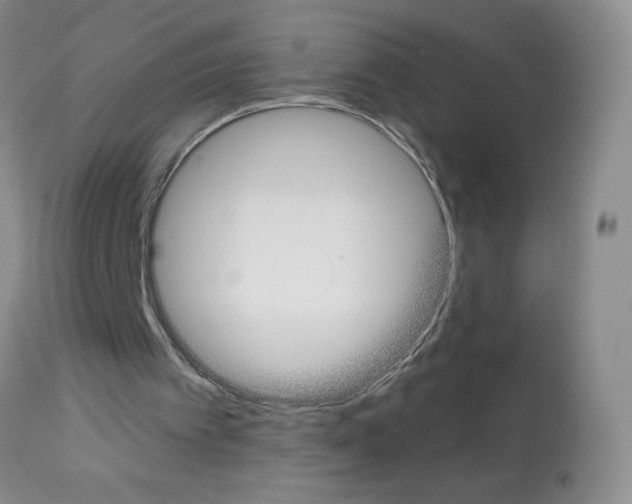 X0000113080097200910091242