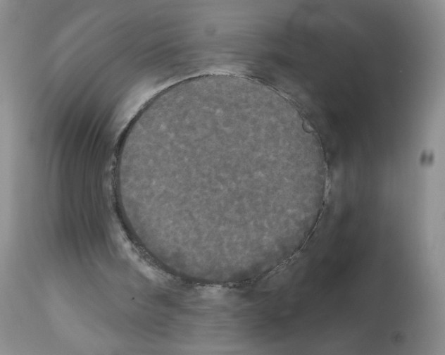X0000113080098200910091242